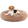 Cat in a plush round bed