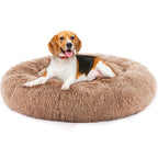 Cat in a plush round bed